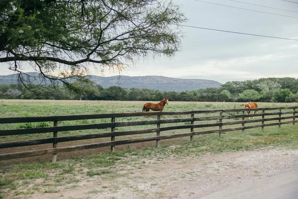 Seven Bluff Cabins & RV Park gallery 2