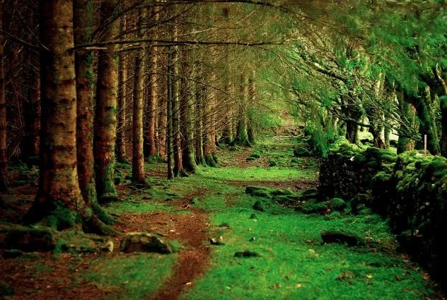 Applecross Campsite gallery 2