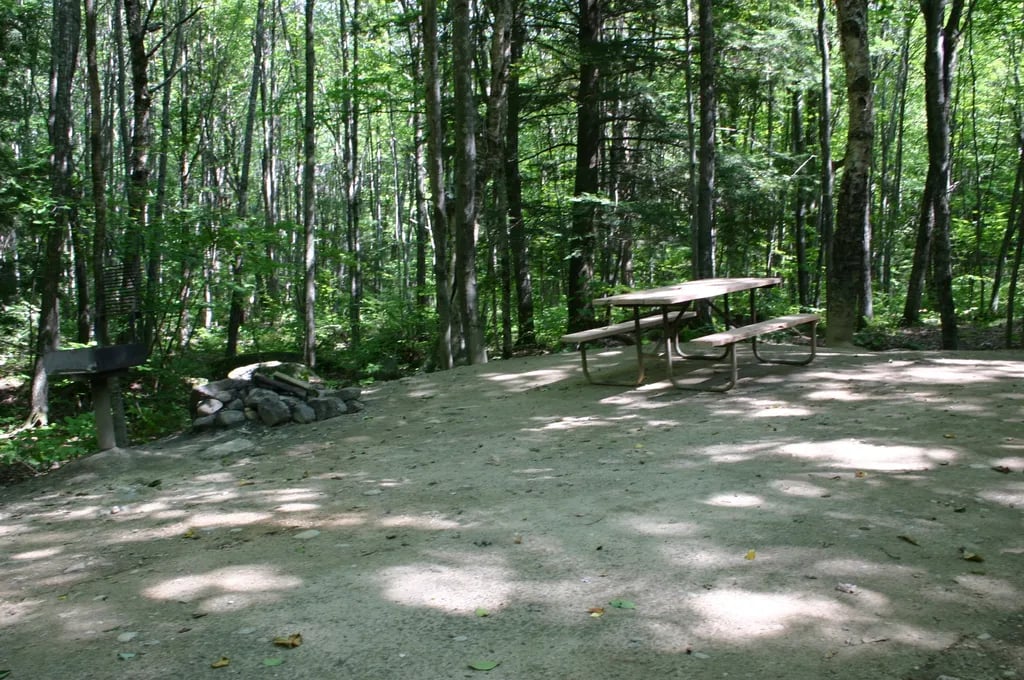 Sebago Lake Family Campground gallery 3