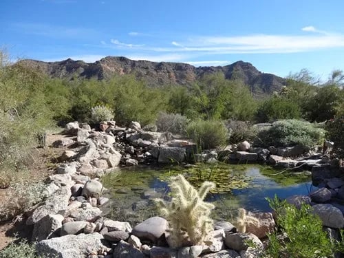 Usery Mountain Regional Park gallery 1