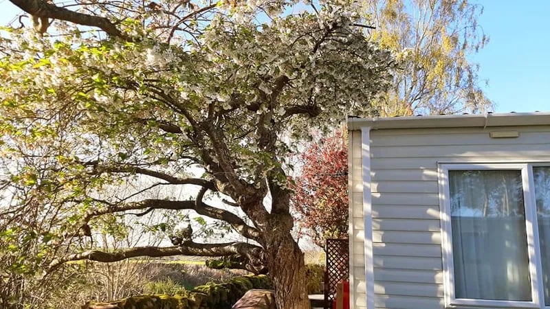 North Alves Caravaning Park gallery 2