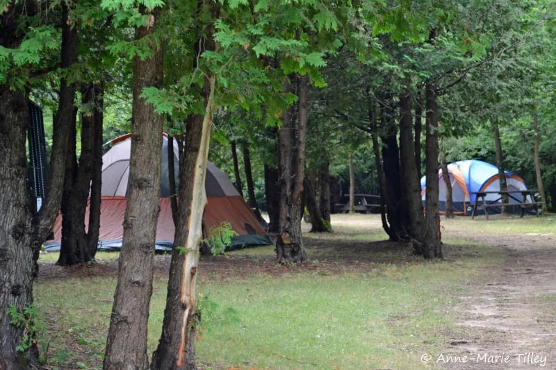 Sleepy Cedars Family Camping gallery 3