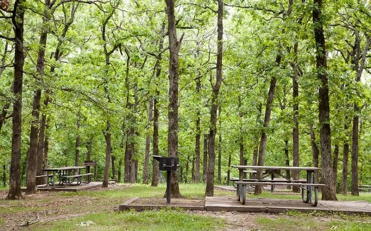 Knob Noster State Park Campground gallery 3