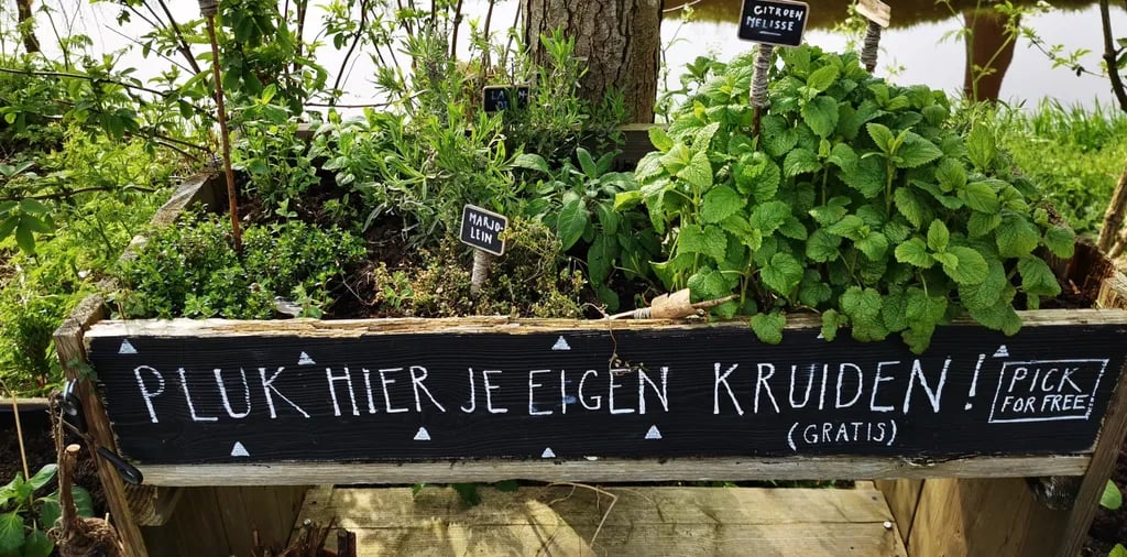 Camping De Grutto gallery 3