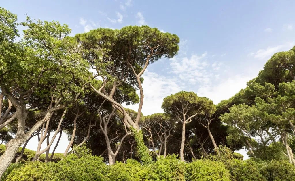 Hu Park Albatros Village gallery 1