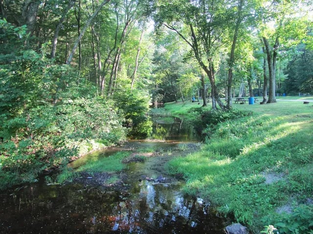 Sunfox Campground gallery 2