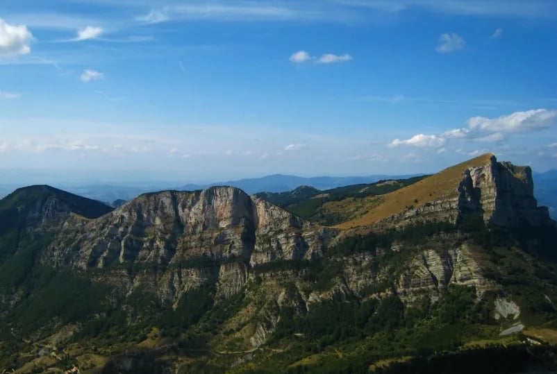 Flower Camping de La Pinède gallery 1