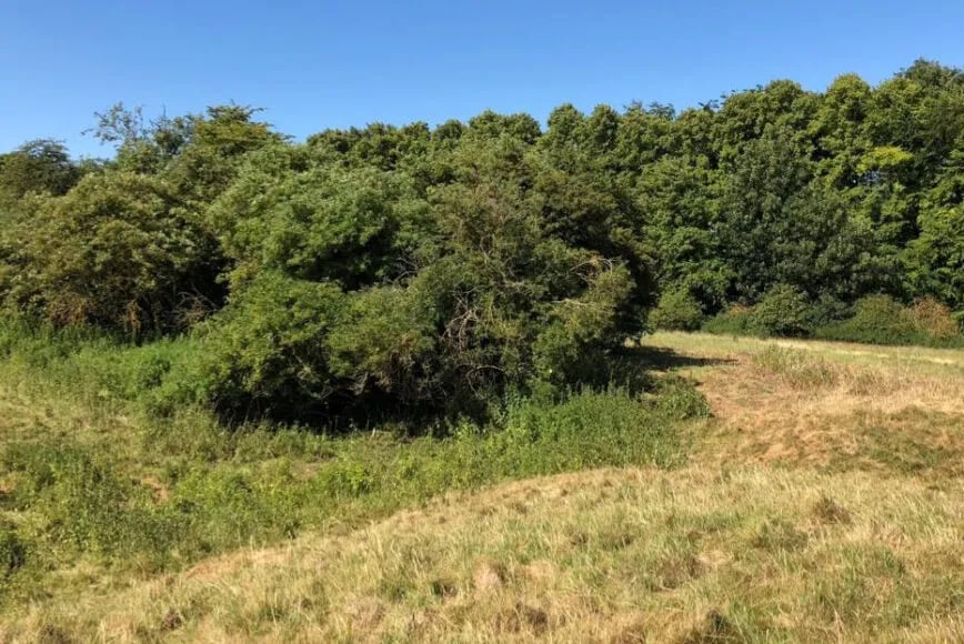 Wicksteed Park gallery 2