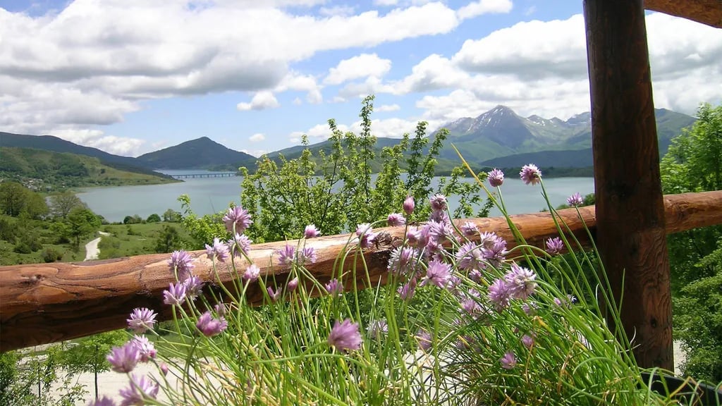 Agricampeggio Cardito gallery 2