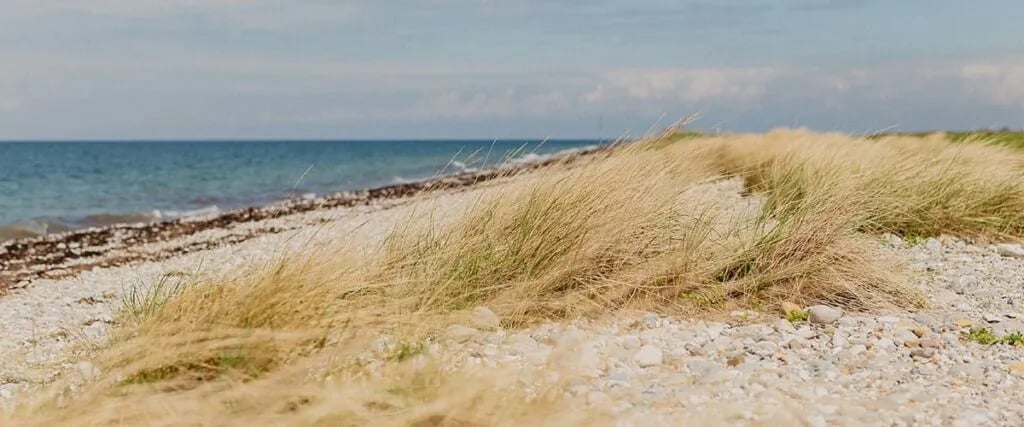 Strandcamping Wallnau gallery 1