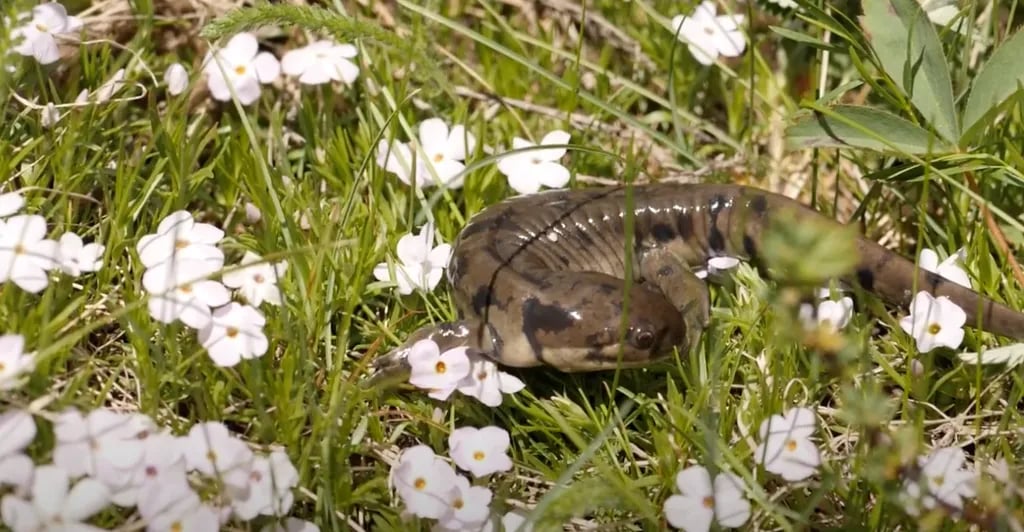 Steamboat Lake State Park gallery 2