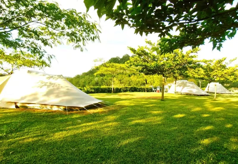 Agricamp Picobello gallery 1
