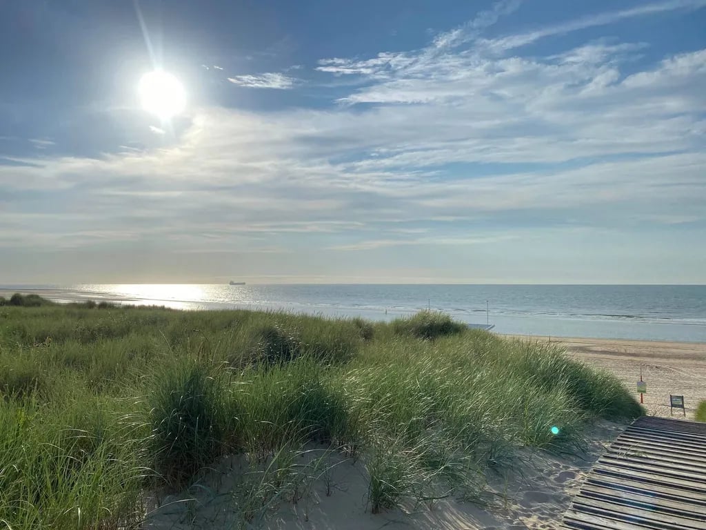 Camping Zonneweelde gallery 1