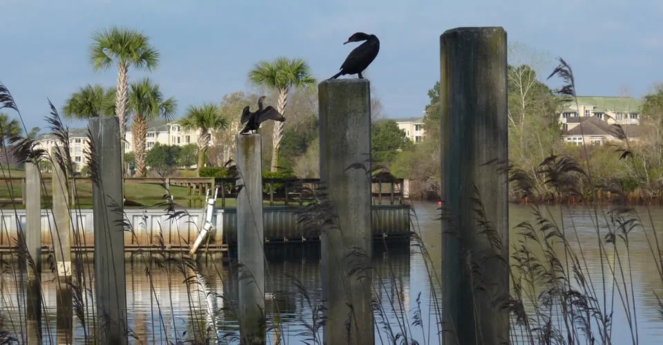 Briarcliffe RV Resort