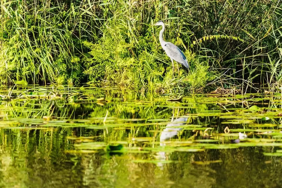 Campingplatz D66 – Am Schmöldesee bei Prieros gallery 2