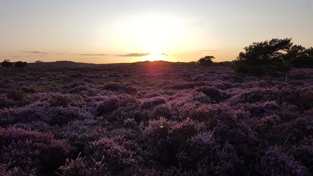 Campeerterrein Buitenduin gallery 2