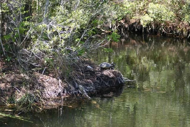 Tuck in the Wood Campground gallery 2