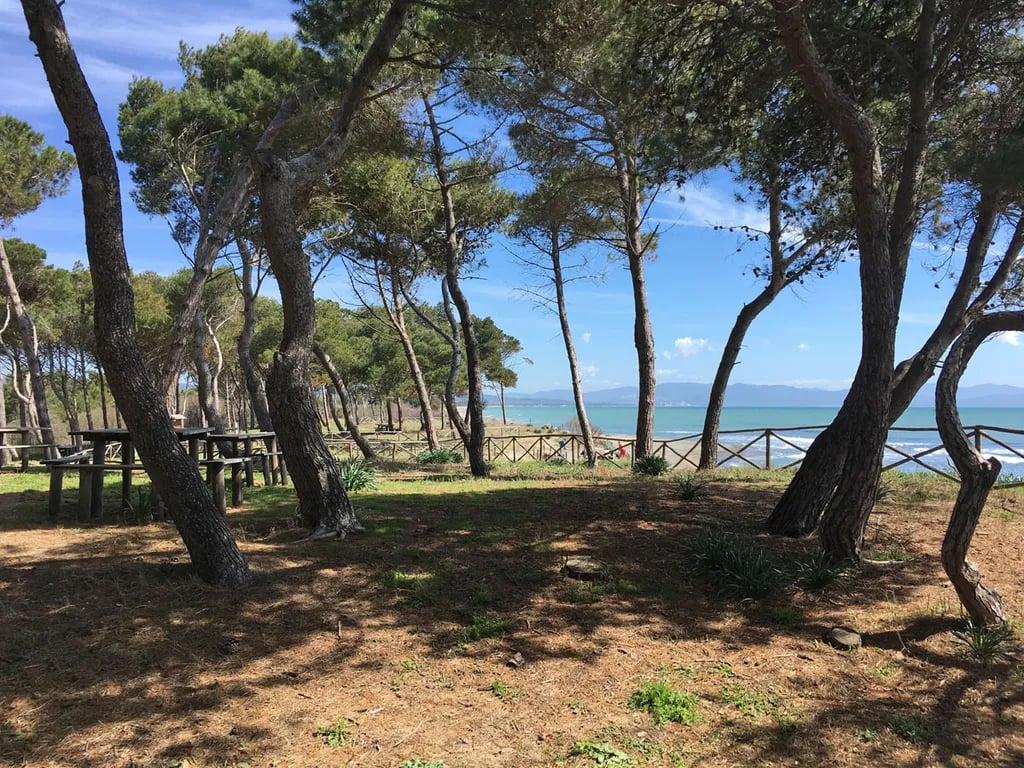 Agriturismo La Torraccia