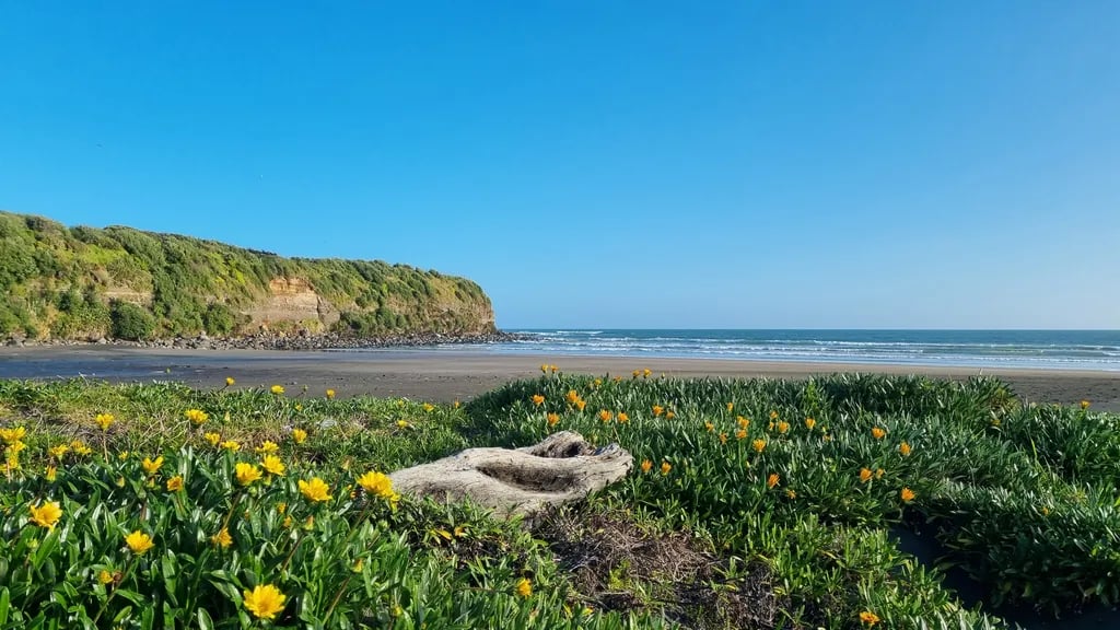 Opunake Beach Holiday Park : Opunake Accommodation