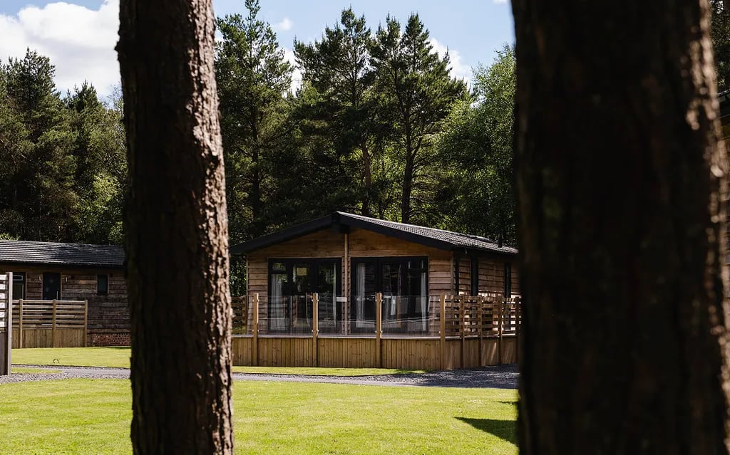 Ladycross Plantation Caravan Park gallery 1