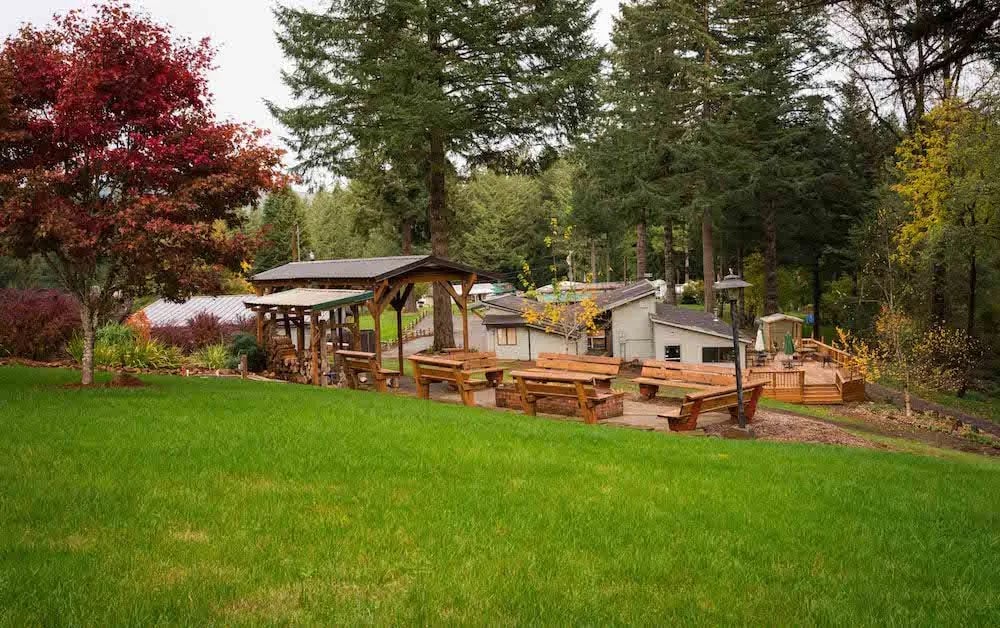 The Willamettans gallery 3