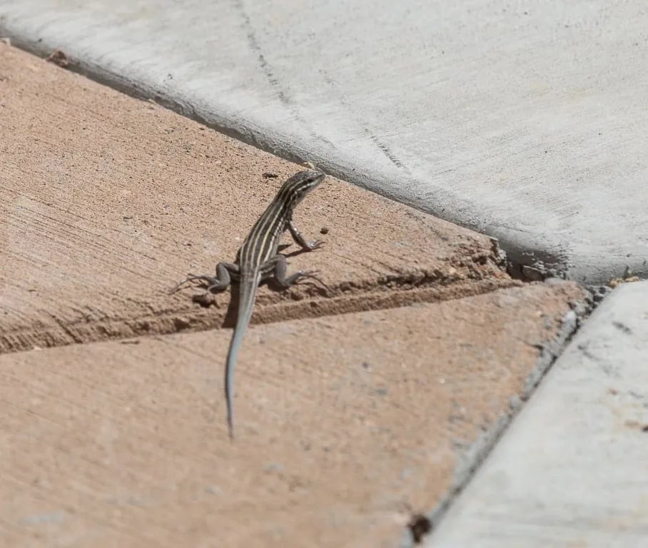 Highline Lake State Park Campground gallery 2