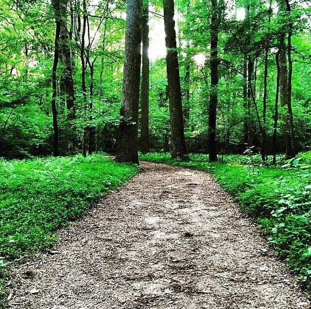 Stone Mountain Park Campground gallery 3