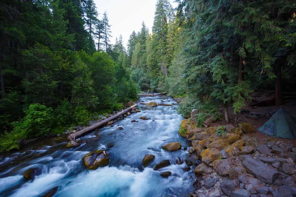 Riverside Trailer & RV Park