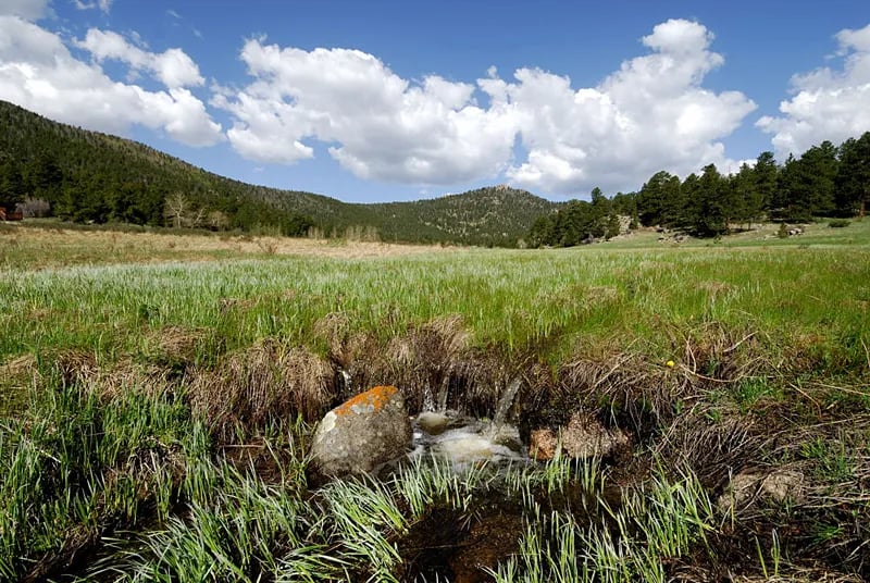 Hermit Park Open Space gallery 3