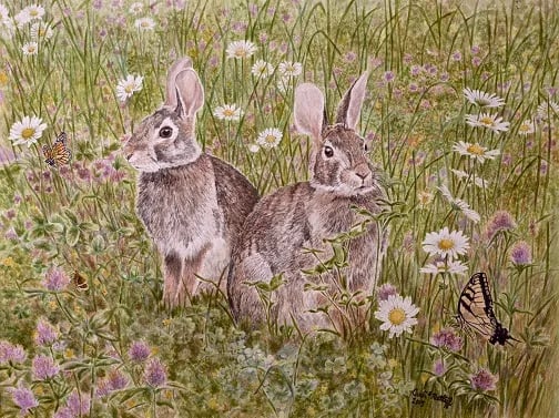 Bluestone Wildlife Management Area — Bluestone Lake Wildlife Management Area gallery 3