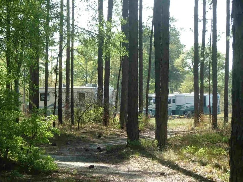 Tanager Woods RV Campground gallery 3