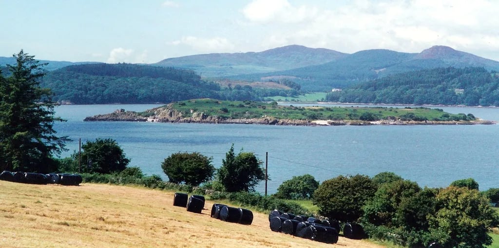 Castle Point Caravan Park gallery 3