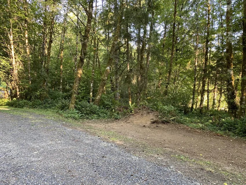 Anderson Park gallery 1