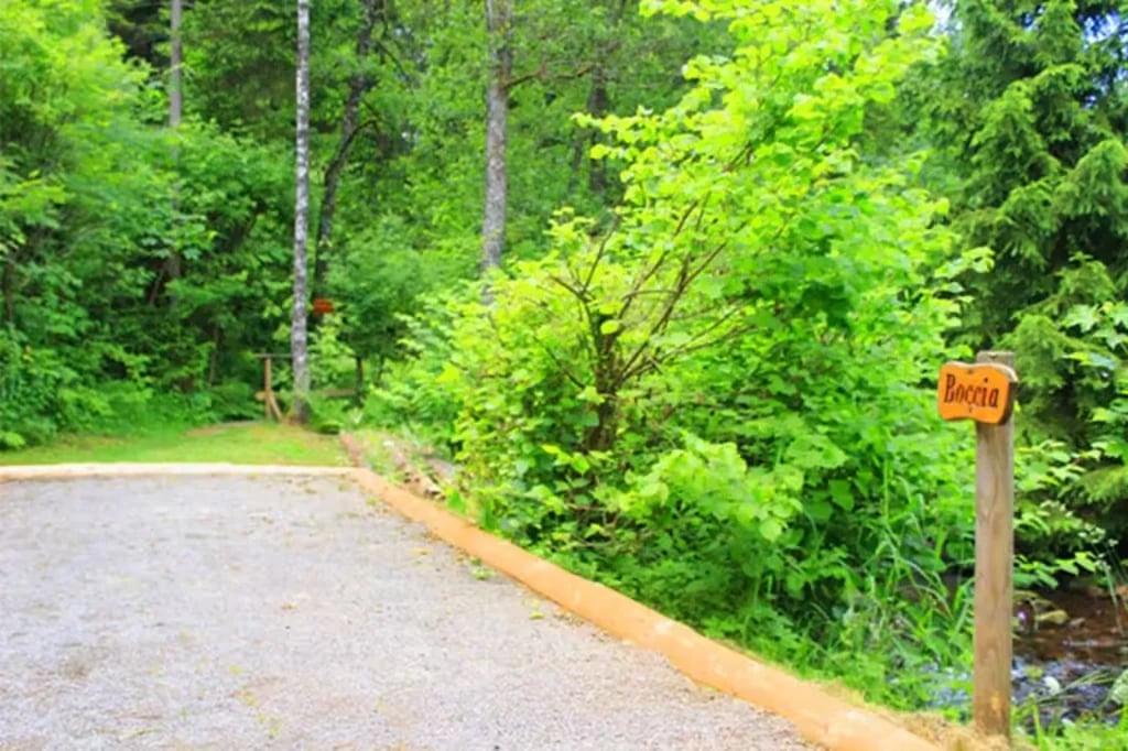 Natur-Camping Langenwald gallery 3