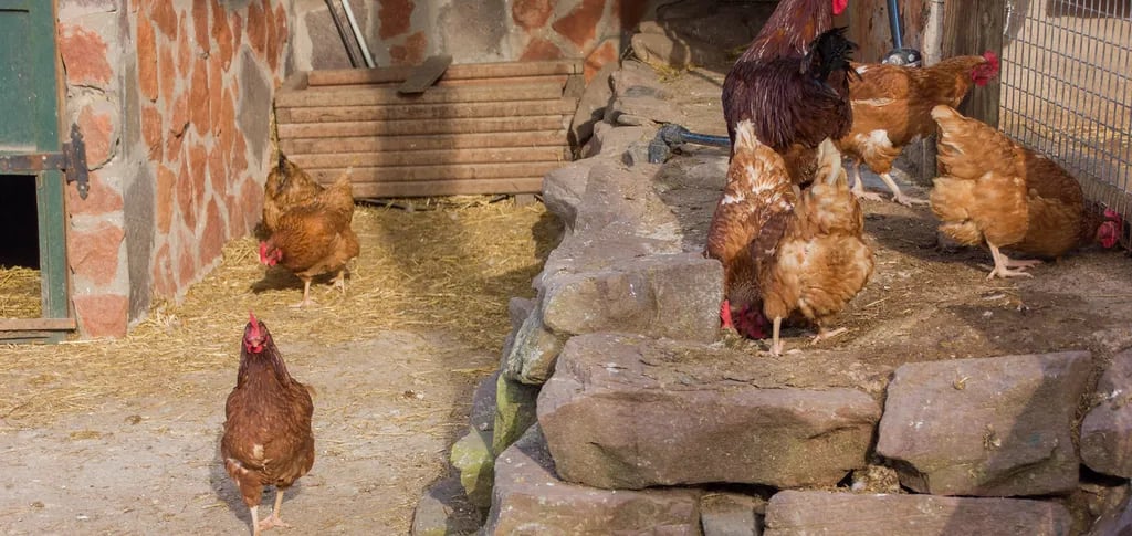 Xalet de Prades gallery 2