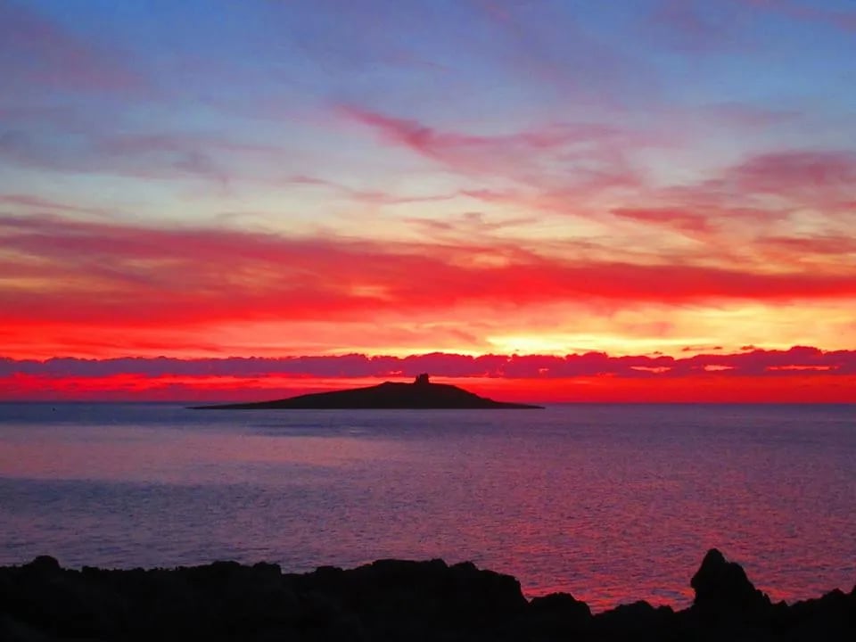 Campeggio Degli Ulivi gallery 1