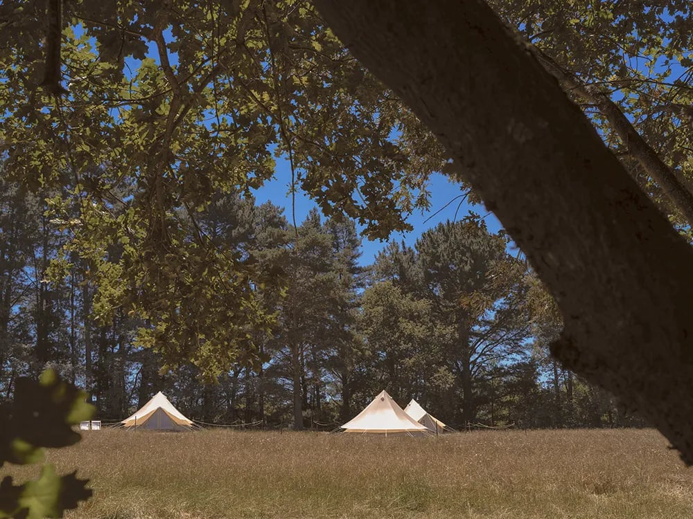 A Leira 116 gallery 1