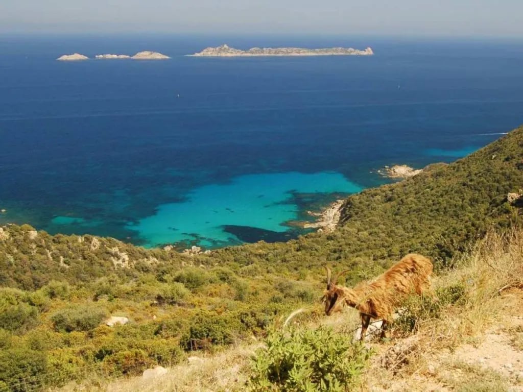 Tiliguerta Glamping & Camping Village gallery 2