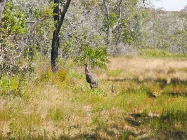 Deepwater National Park gallery 2