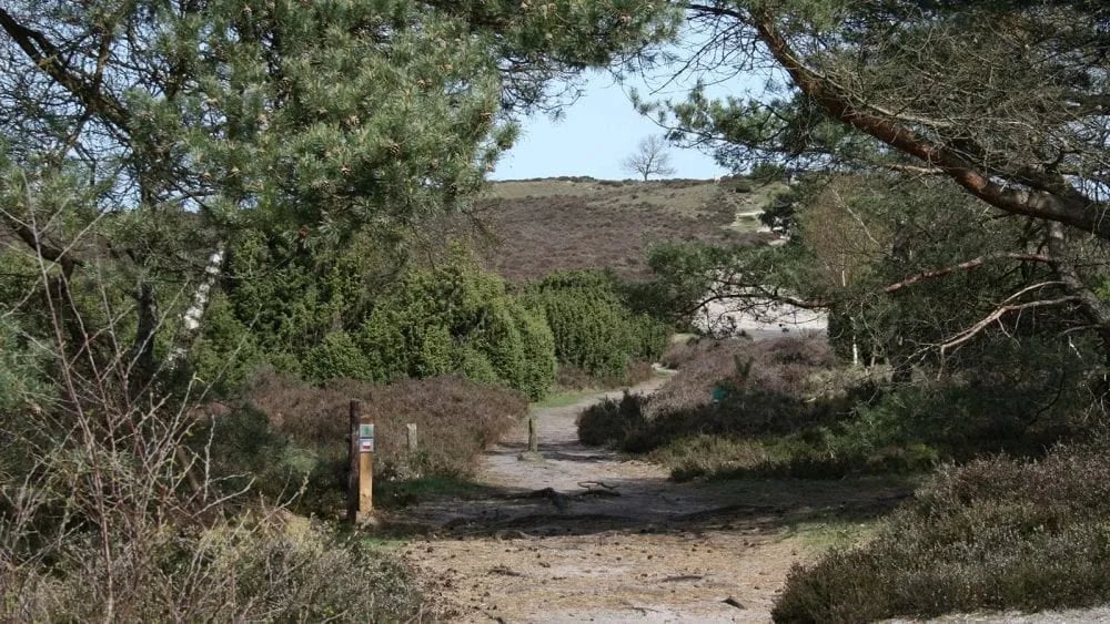 Natuurcamping De Lemeler Esch gallery 2