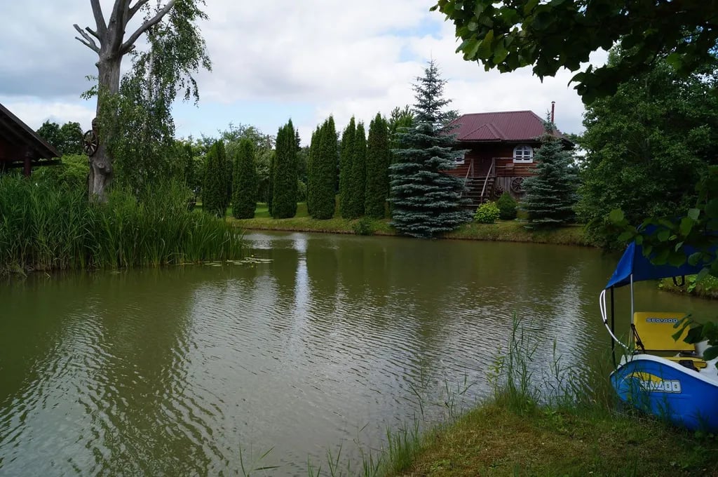 Dvarkiemis gallery 3