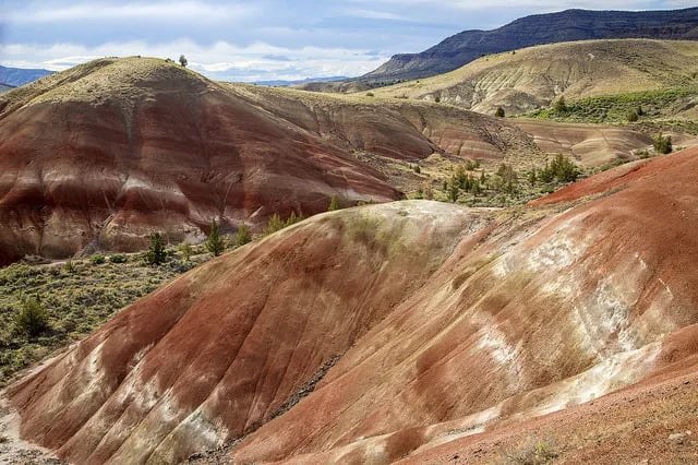 Frog Spring in Alvord Desert gallery 2