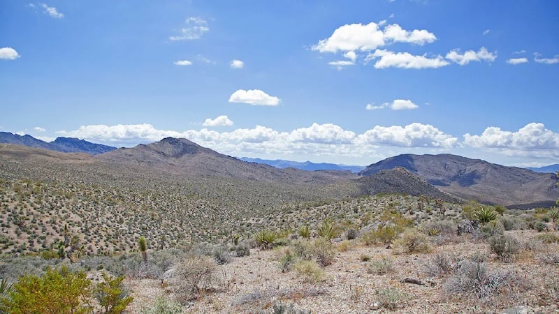 Jean Roach Dry Lakebed Camp gallery 2