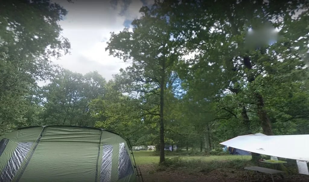Fox Wood Camping gallery 2