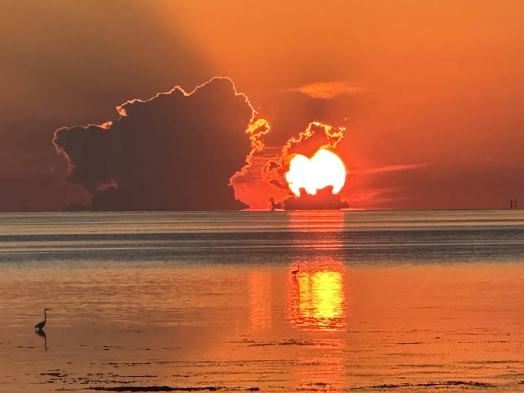 The Old Pavilion RV Park gallery 3