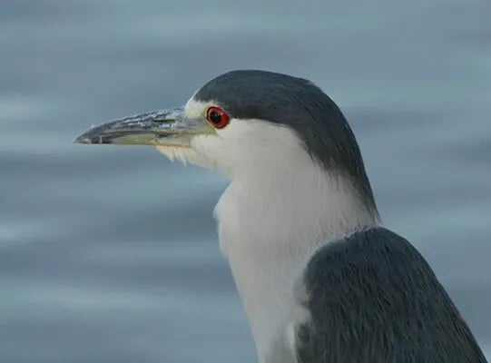 Concho Lake Recreation Area gallery 1