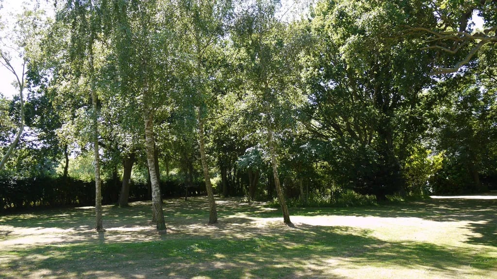 Homestead Lake Park gallery 2