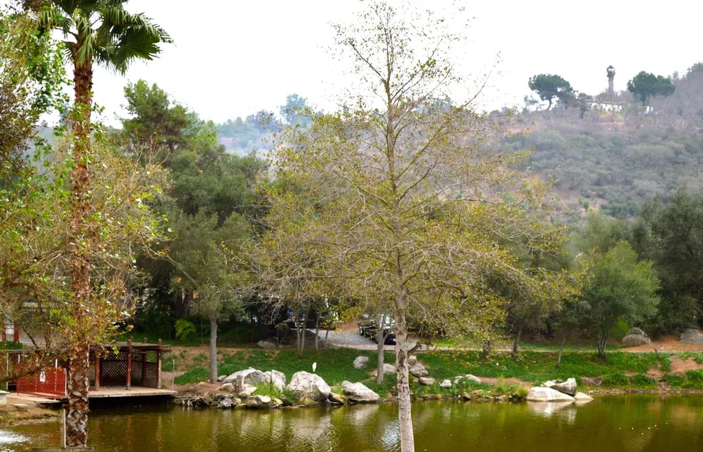 Lilac Oaks Campground gallery 1