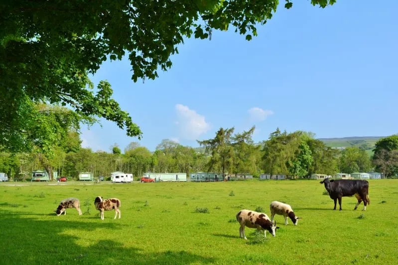 Mickleton Mill Caravan Park gallery 1