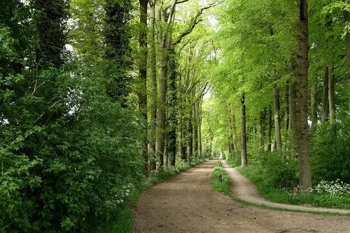 Vechtdalcamping Het Tolhuis gallery 2